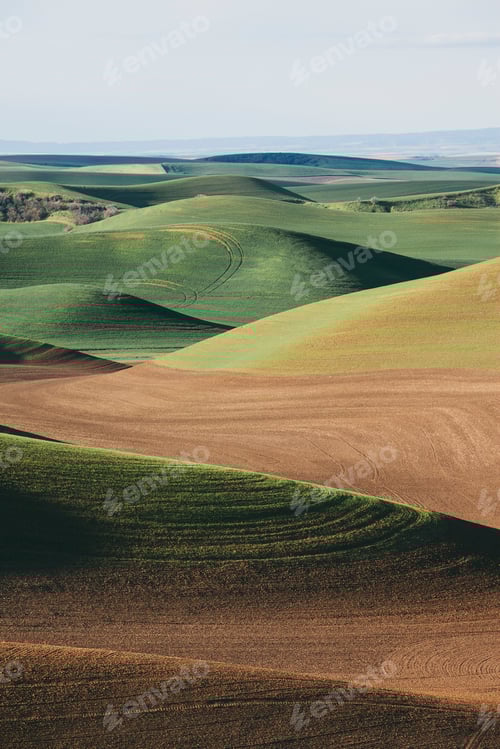 Preview: A view over green rolling hills and farmed fields.