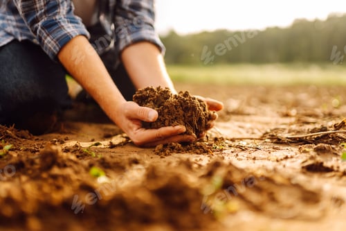 Preview: Soil is in the strong hands of a farmer on a black field. Agriculture or gardening concept.
