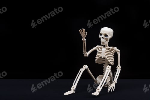 Preview: fake human skeleton sitting on black background and pointing with his hands at empty space Halloween