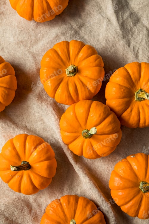 Preview: Raw Organic Orange Mini Pumpkins
