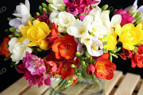 Preview: Bouquet of spring freesia flowers in vase on stand, closeup