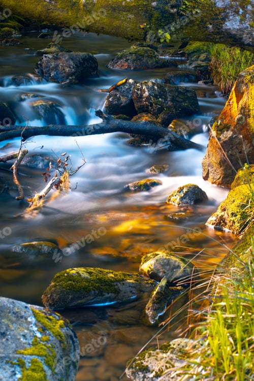 Preview: Vertical shot of a beautiful river with many rocks in Dublin, Republic of Ireland