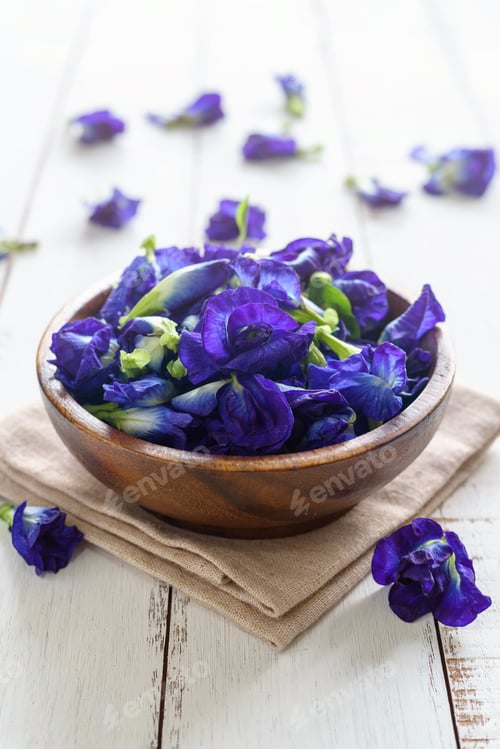 Preview: Butterfly pea or blue pea flower