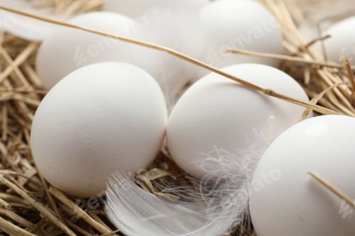 Preview: Raw chicken eggs, feather and straw on table, closeup