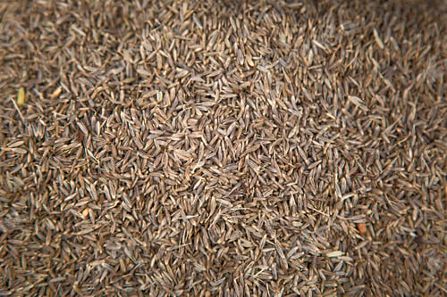 Preview: Cumin on the market