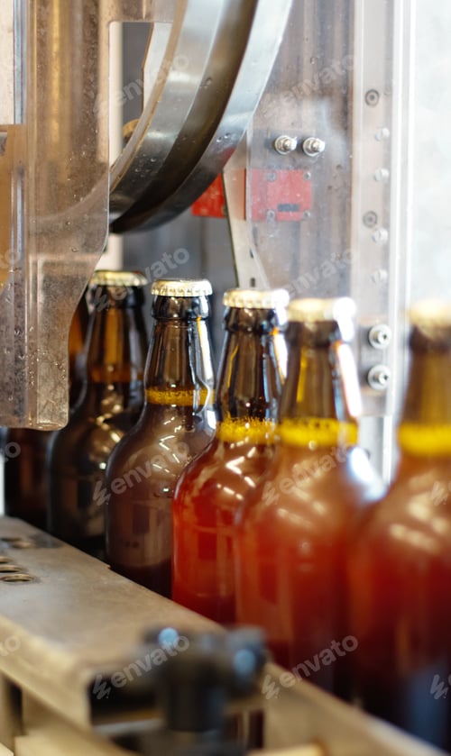 Preview: A delicious new brew. Shot of beer bottles on a production line at a brewery.
