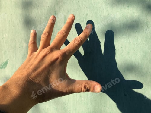 Preview: a hand and its shadow cast on a wall - concept of diversity and equality