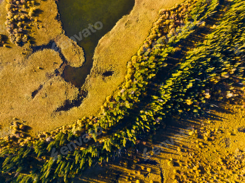 Preview: Fall landscape. A drone view of the river in the woods. An aerial view of an autumn forest.