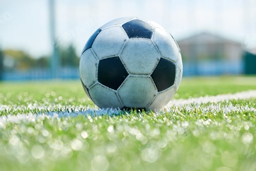 Preview: Football Ball on Grass