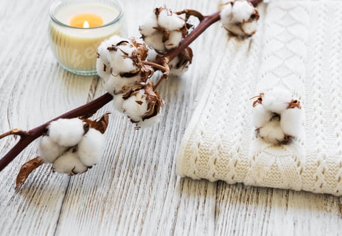 Preview: white cotton flowers