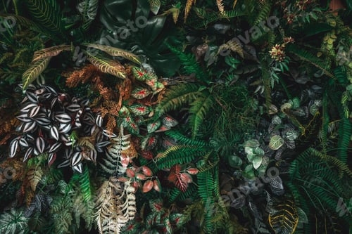 Preview: A background with an abstract design and a close-up texture group of green leaves.