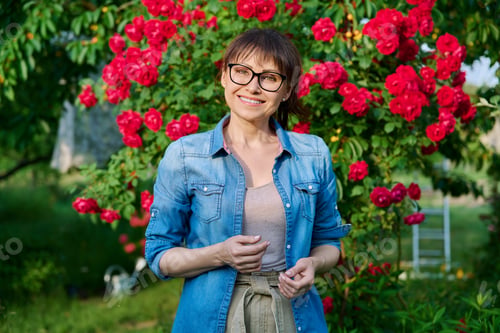 Preview: Portrait of middle-aged woman in backyard, background blooming red rose bush
