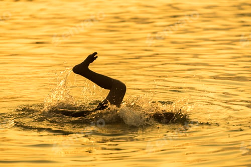 Preview: Silhouettes Children swimming happily in river
