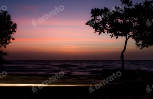 Preview: Beautiful shot of growing trees with the sea on the background under a purple and orange sky
