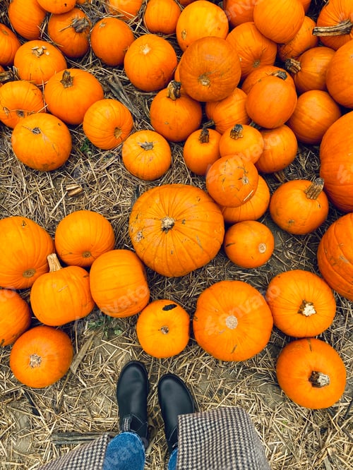 Preview: Pumpkin
