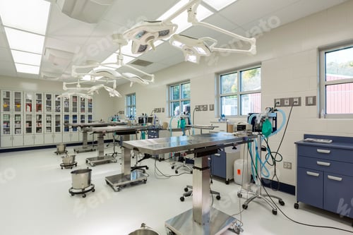 Preview: 54318,Examining tables in empty animal hospital