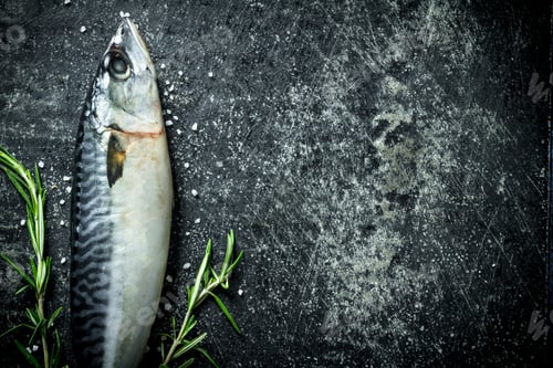 Preview: Raw fish mackerel with rosemary.