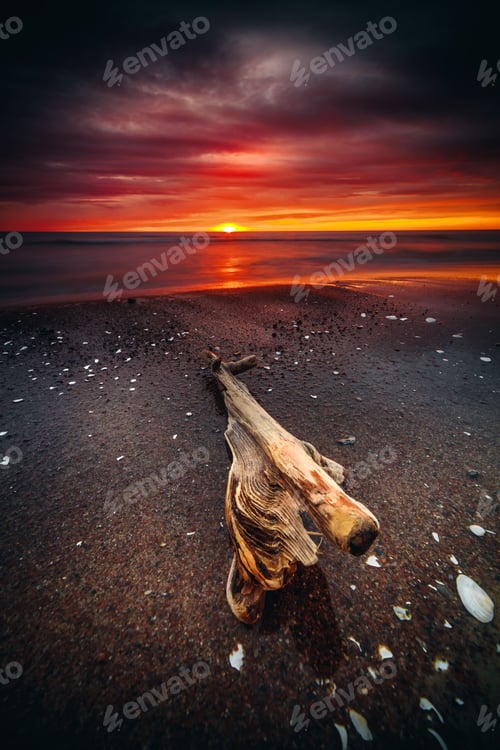 Preview: Vertical shot of a tree trunk on a sandy beach with a red cloudy sunset sky background,long exposure