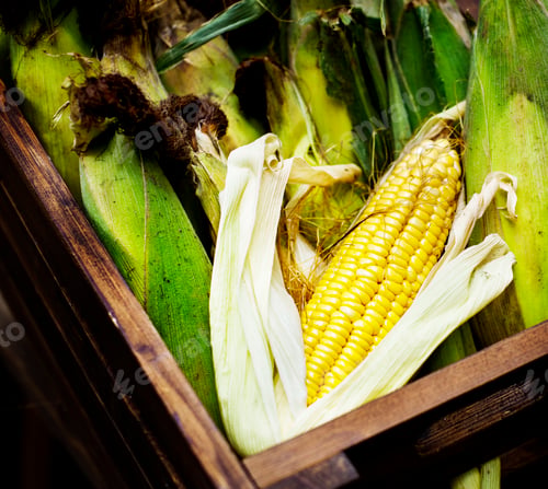 Preview: Aerial view of sweencorn cob in wooden basketr