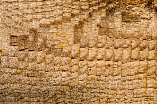 Preview: Wood board texture background view