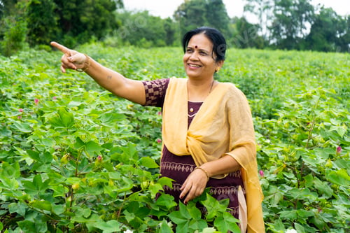 Preview: Happy Indian woman in green cotton field.