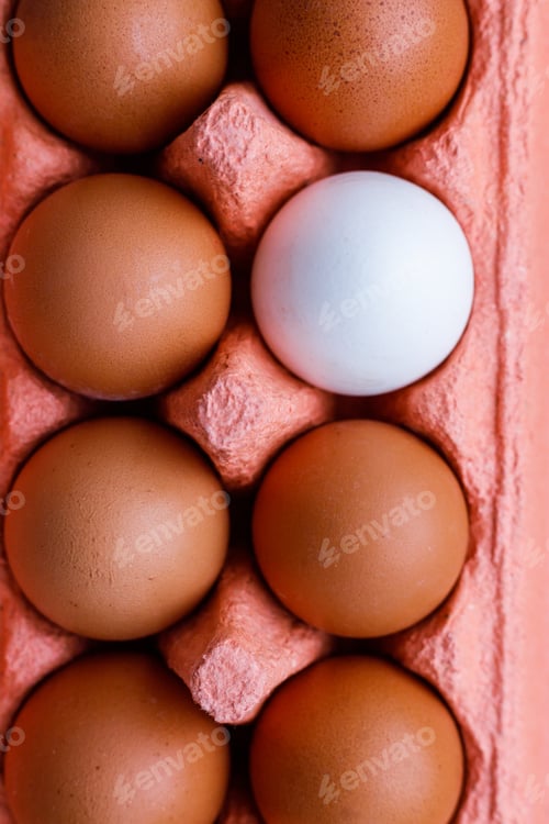 Preview: Open egg box with ten brown eggs close up view