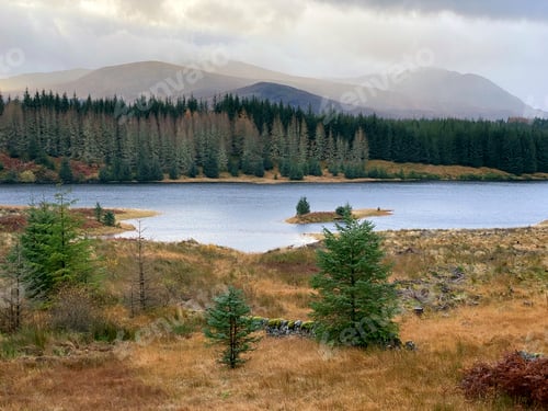 Preview: Loch Laggan - Scottish Highlands