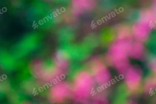 Preview: Beautiful morning view indonesia, Panorama Landscape paddy fields with beauty color and sky natural