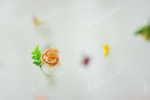 Preview: Flowers