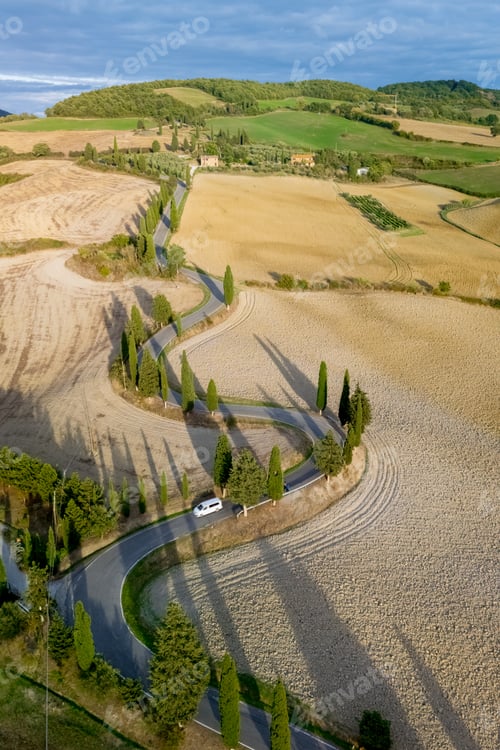 Preview: Winding road through golden fields under the warm Tuscan sun in Italy