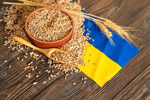 Preview: Wheat grains with yellow and blue Ukrainian flag on wooden background