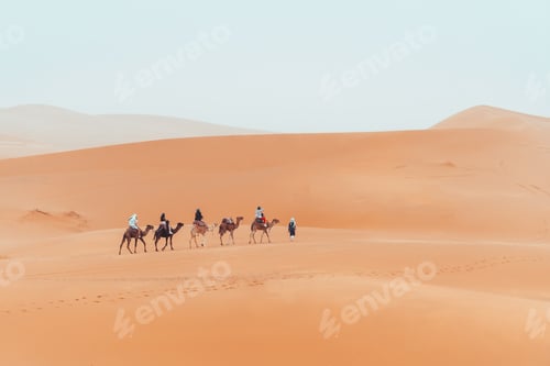 Preview: Camel trek with tourists through the sahara desert in Merzouga, Morocco
