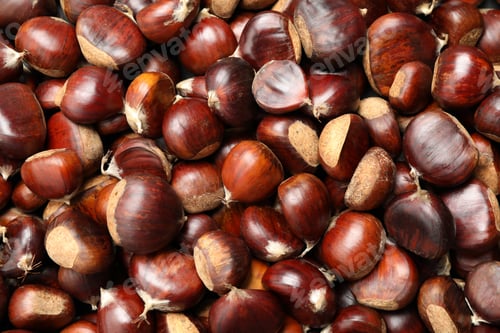 Preview: Top view of fresh edible sweet chestnuts as background, closeup