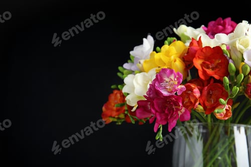 Preview: Bouquet of spring freesia flowers in vase on dark background, closeup. Space for text
