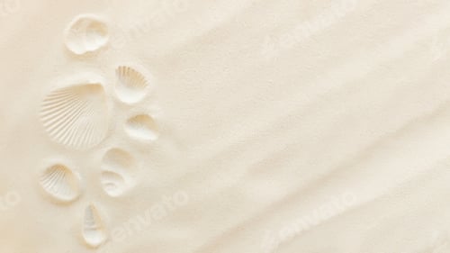 Preview: Travel, vacation concept. Sea shells print on sand. Travelling to warm countries
