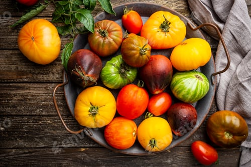 Preview: Mixed tomatoes top view.