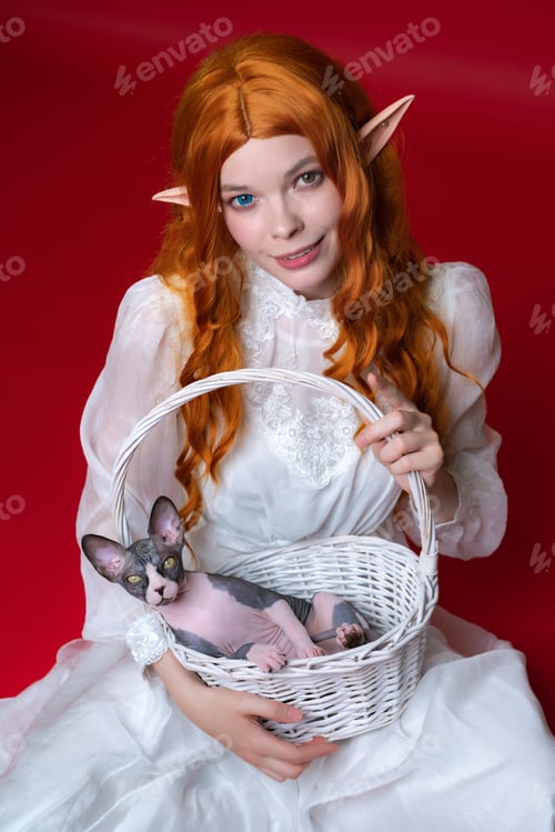 Preview: Young woman cosplay elf holding white wicker basket with Sphinx kitten on red background