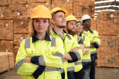 Preview: Group of workers in a large timber factory,