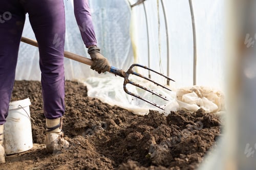 Preview: A women working at greenhouse