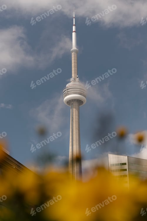 Preview: Primavera Toronto