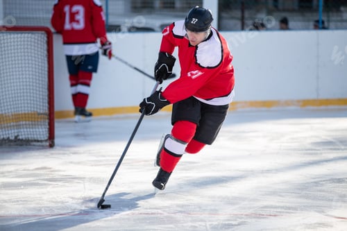 Preview: Professional ice hockey player in attack on the rink
