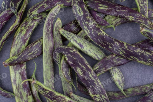 Preview: Green purple beans isolated on concrete background