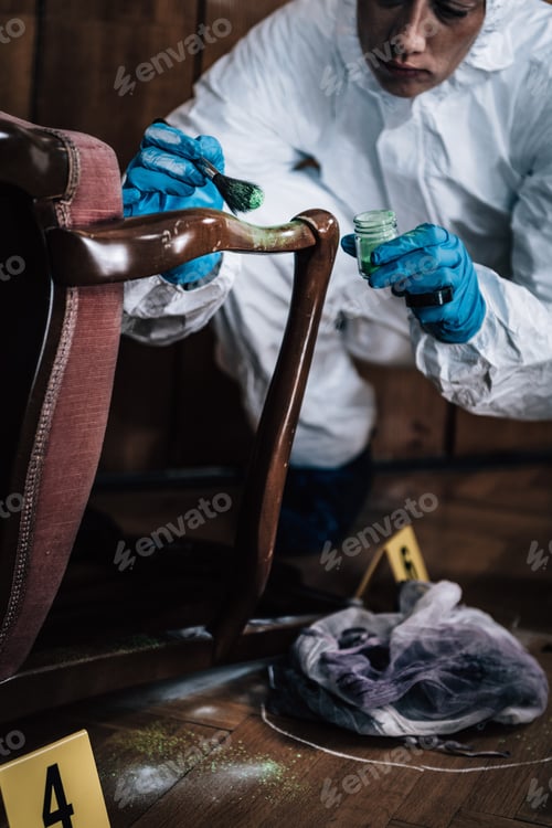 Preview: Forensic Expert searching for clues