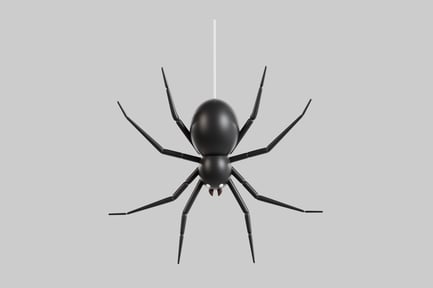 Preview: Hanging black spider