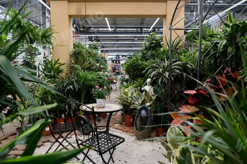 Preview: Many home plants