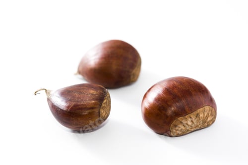 Preview: Three chestnuts resting on a white surface