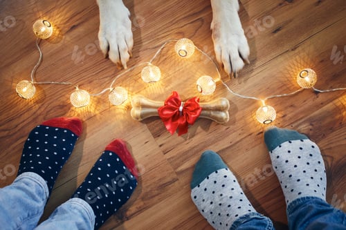 Preview: Festive Dog Bone with Lights and Polka-Dot Socks