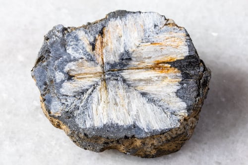 Preview: sample of raw chiastolite rock on white marble