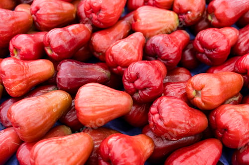 Preview: Wax apple sell in the fruit store in the market