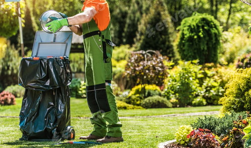Preview: Spring Time Back Yard Garden Maintenance and Cleaning